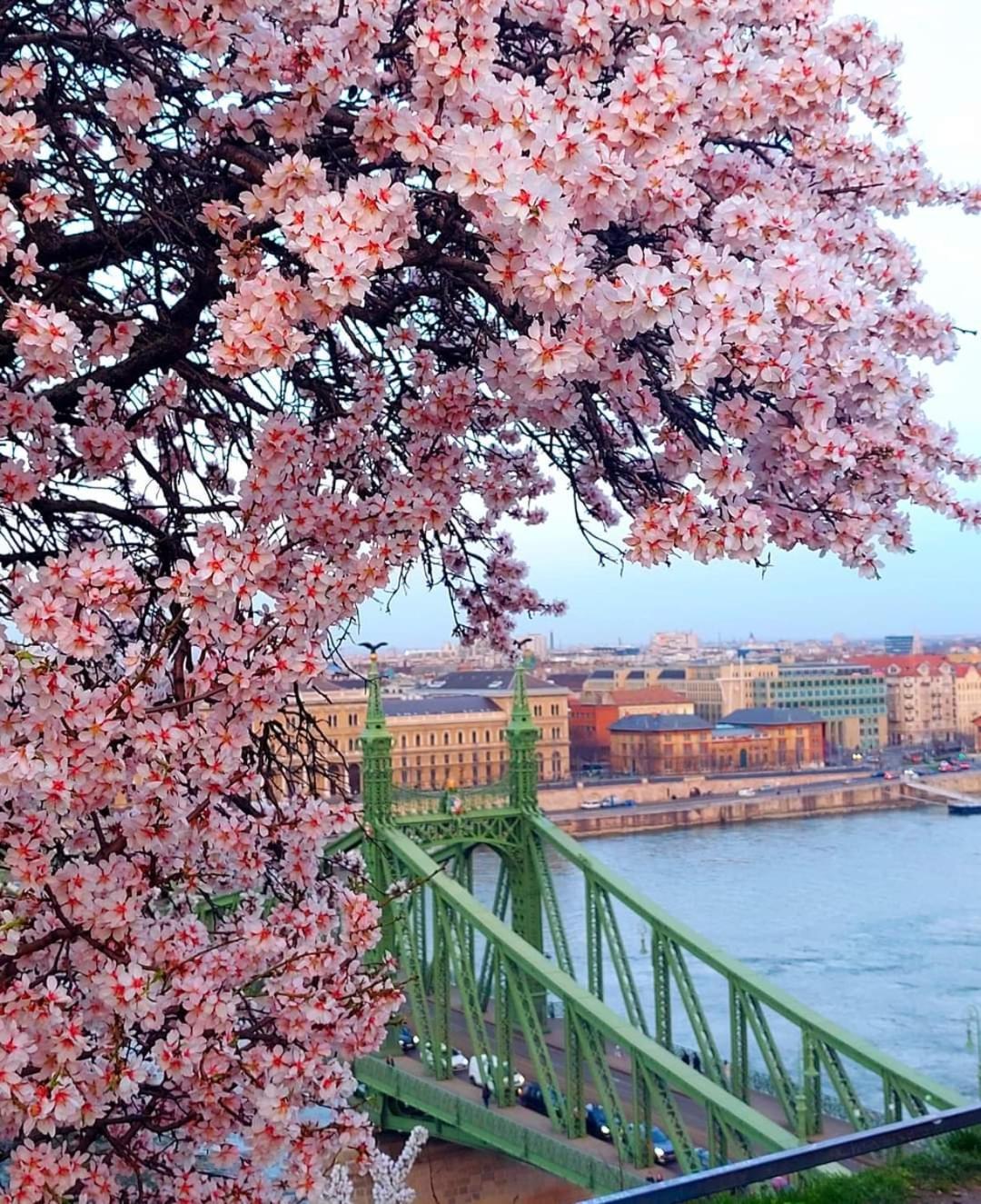 Pannonia Budapest Center Deluxe Εξωτερικό φωτογραφία